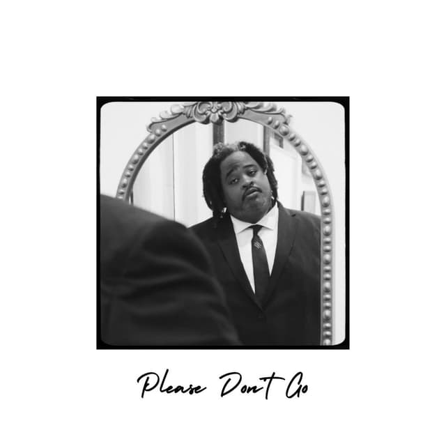 Please Don't Go cover