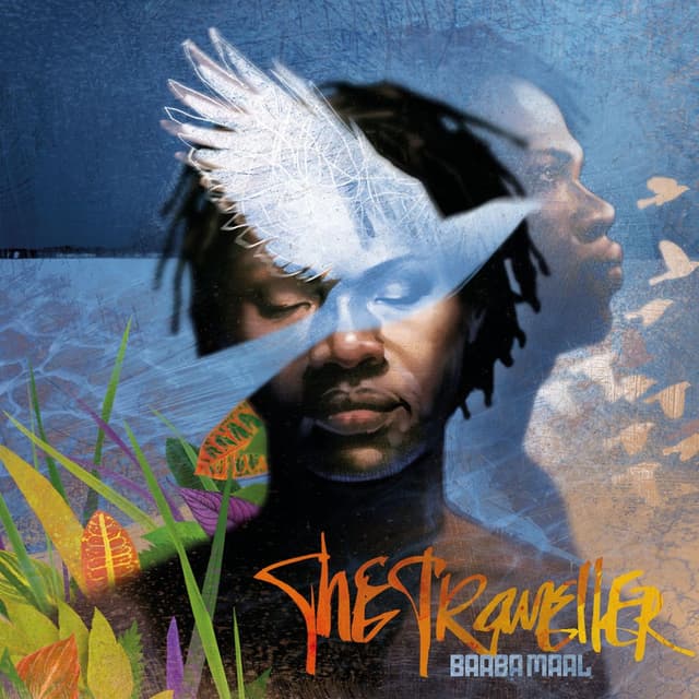 The Traveller (Special Edition) album cover