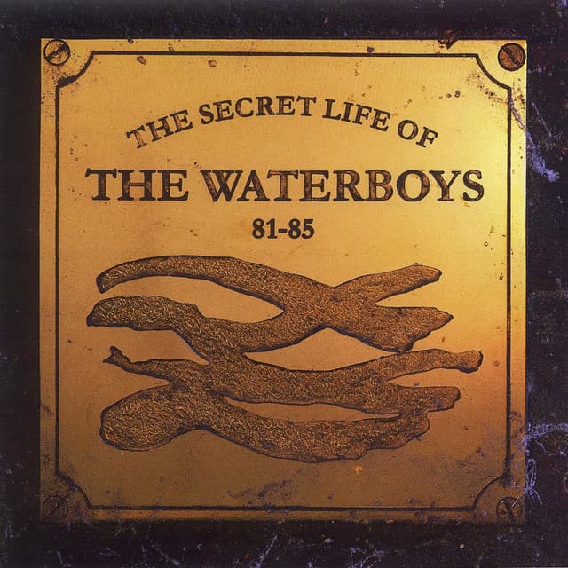 The Secret Life of The Waterboys (1981-1985) cover