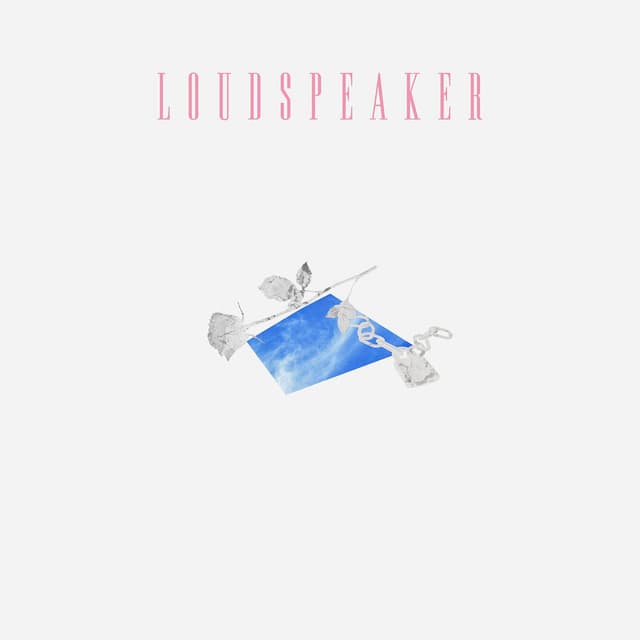 Loudspeaker cover