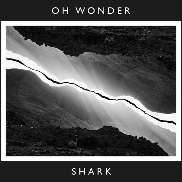 Shark (10 Years On) cover