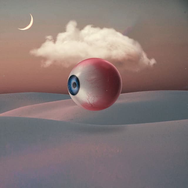 I C U cover