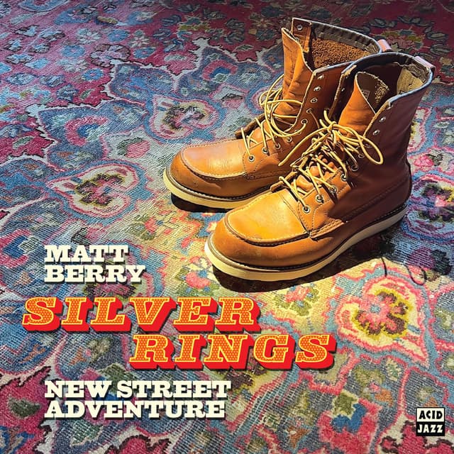 Silver Rings cover