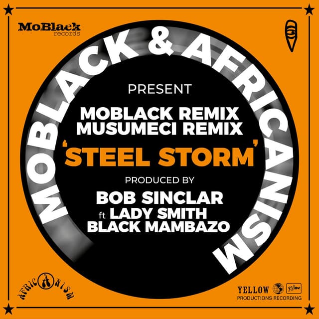 Steel Storm Remixes cover