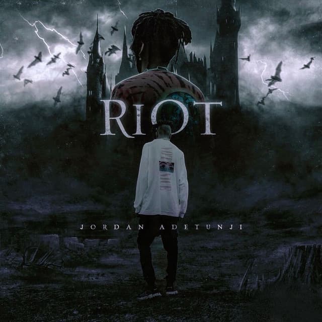 Riot cover