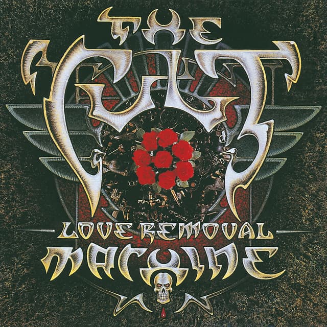 Love Removal Machine cover