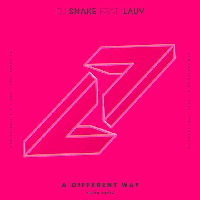 A Different Way (Kayzo Remix) cover