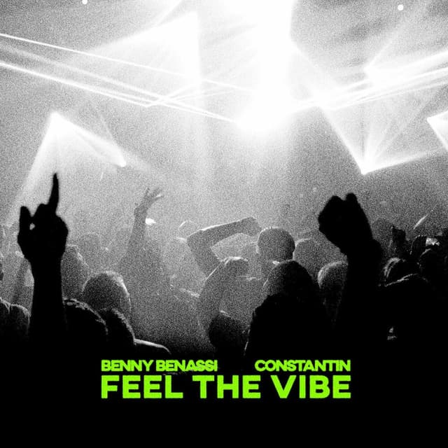 Feel The Vibe album cover