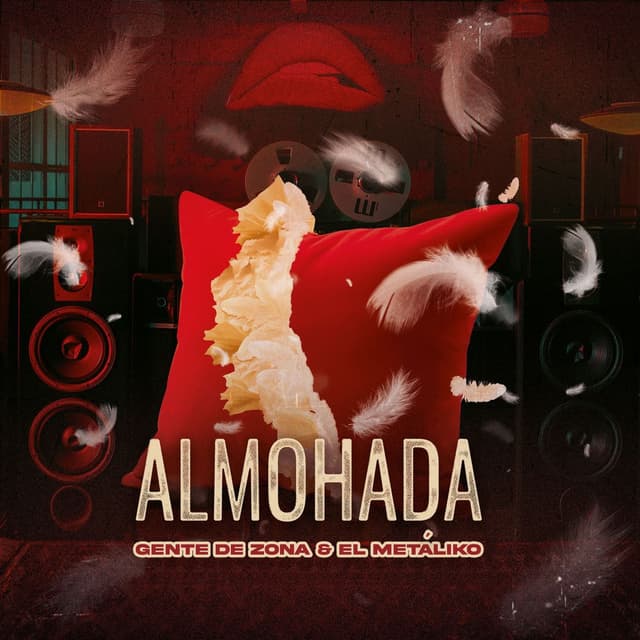 Almohada cover