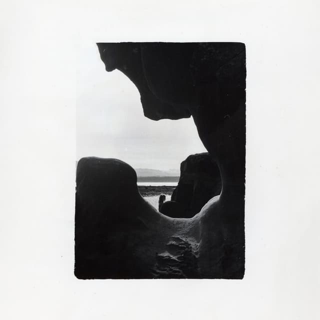 Any Light cover