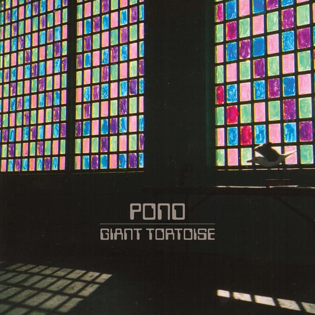 Giant Tortoise cover