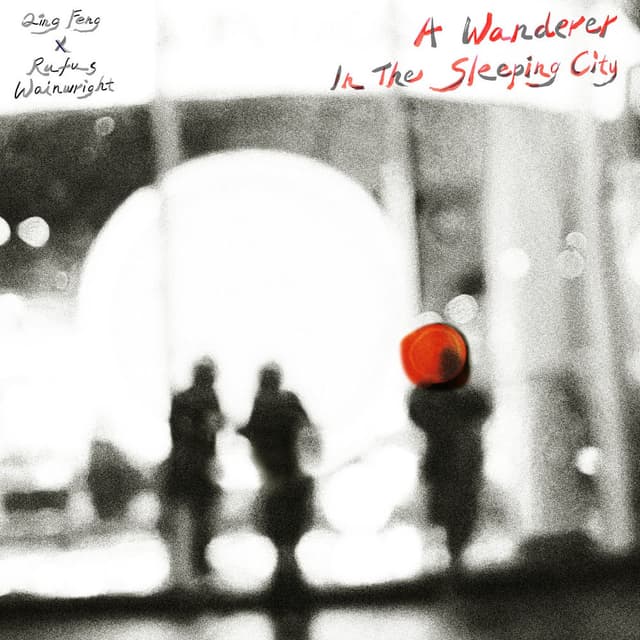 A Wanderer In The Sleeping City cover