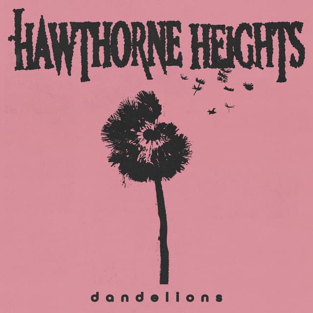 Dandelions cover
