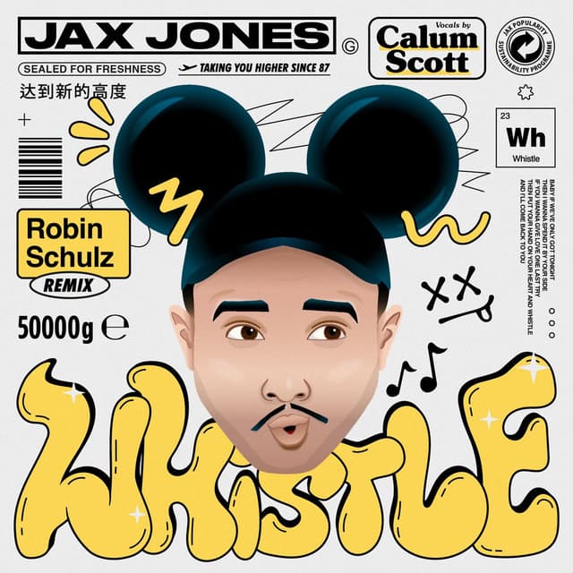 Whistle (Robin Schulz Remix) cover