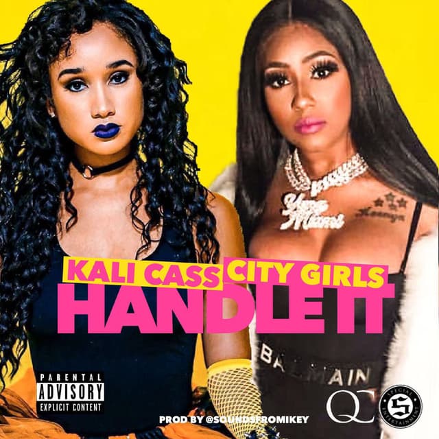 Handle It cover