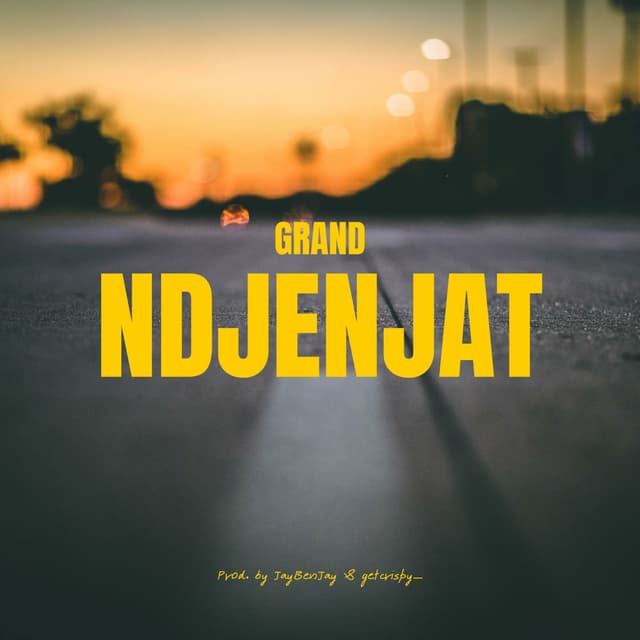 Ndjenjat cover