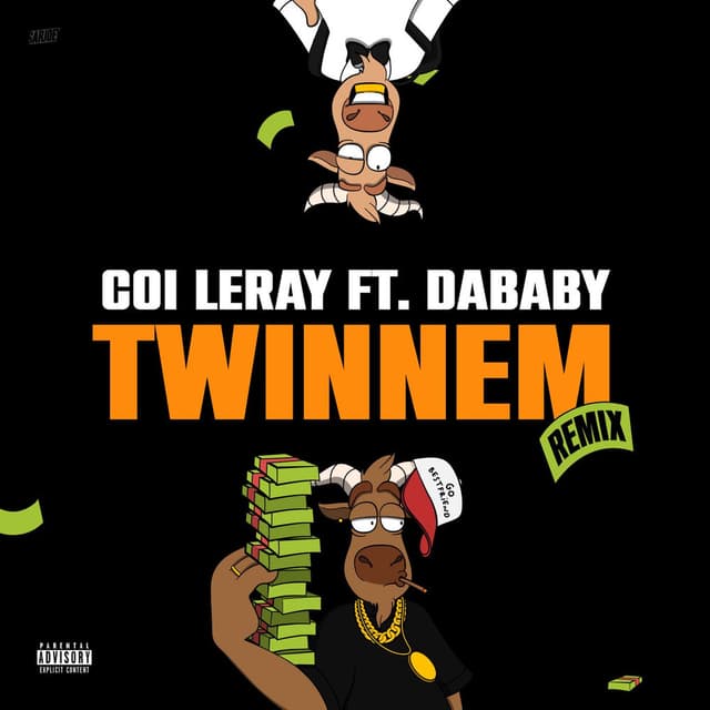 TWINNEM (Remix) cover