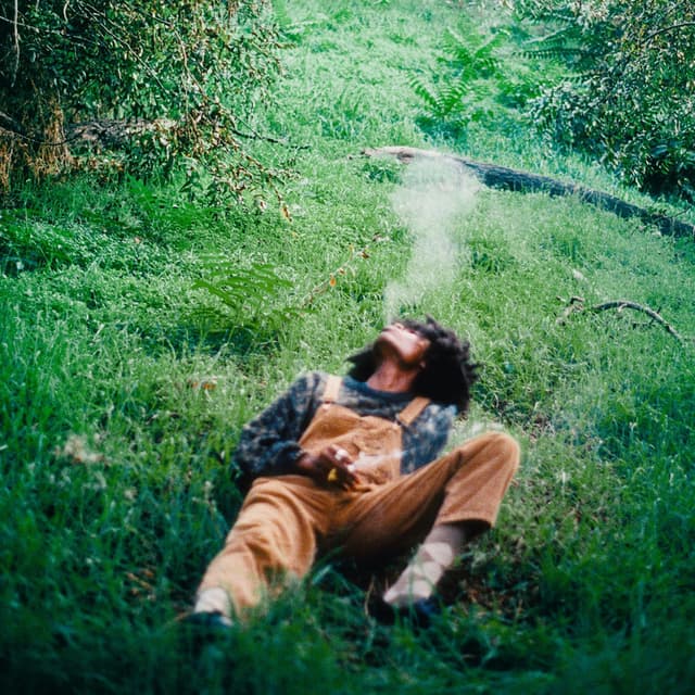 This Must Be A PawPaw Rod EP cover
