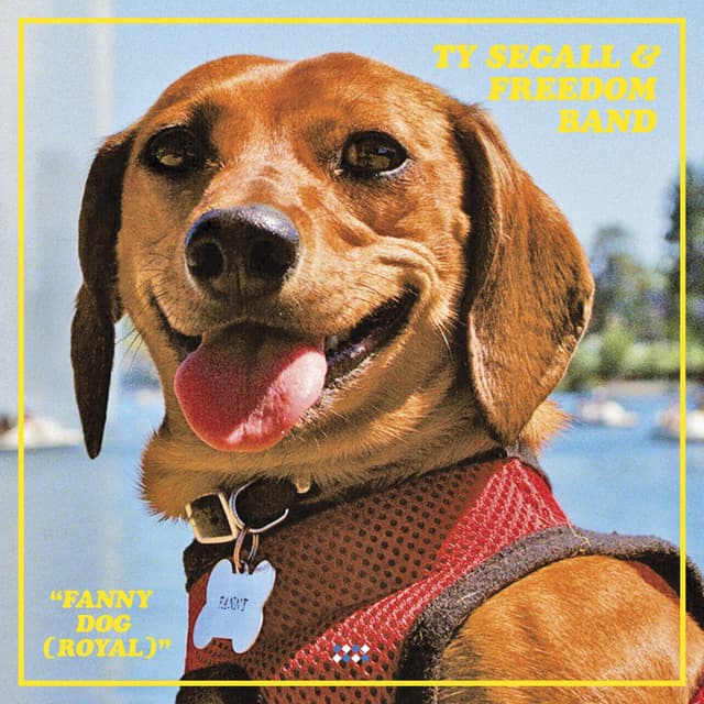 Fanny Dog (Royal) cover