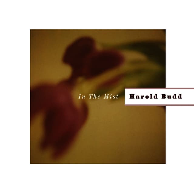 In The Mist cover