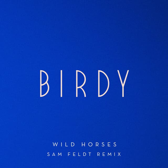 Wild Horses (Sam Feldt Remix) cover