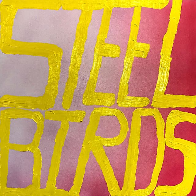 Steel Birds cover