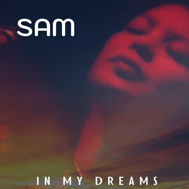 In My Dreams cover