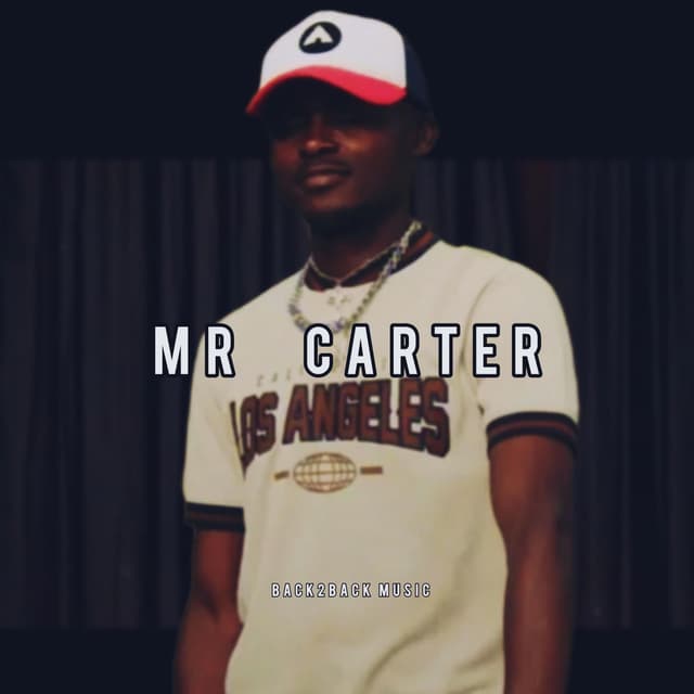 MR CARTER I (feat. Azzezzel) cover