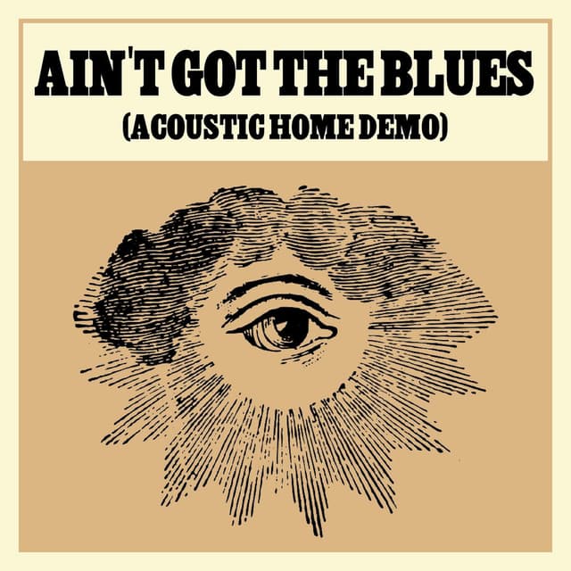 Ain't Got The Blues (Acoustic Home Demo) cover