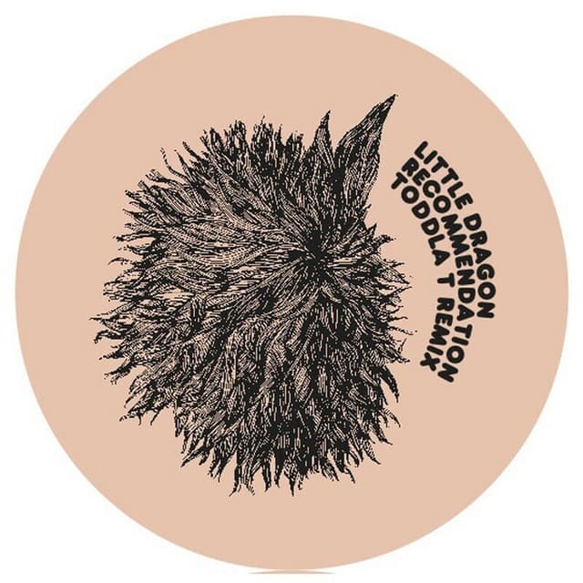 Recommendation (Little Dragon / Toddla T) cover