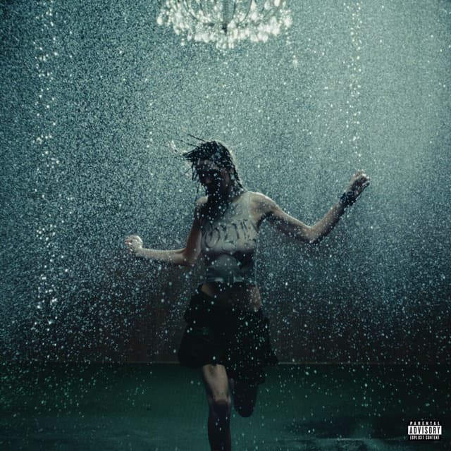 F*CK SWAG cover