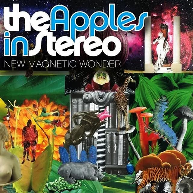 New Magnetic Wonder cover