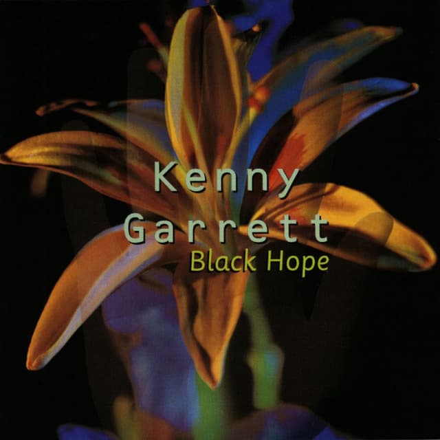 Black Hope cover