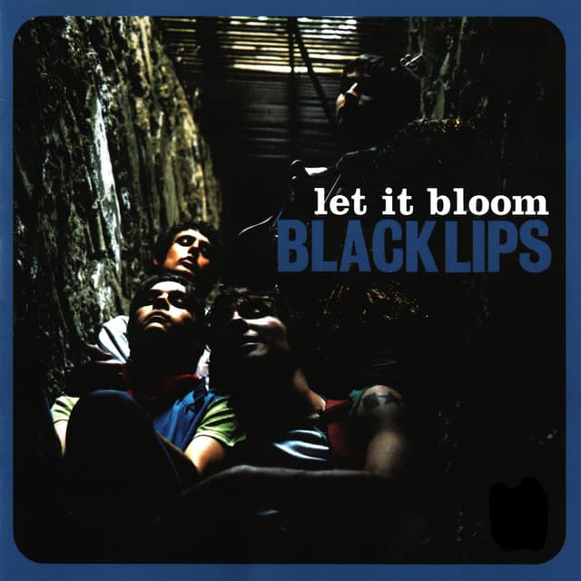 Let It Bloom album cover