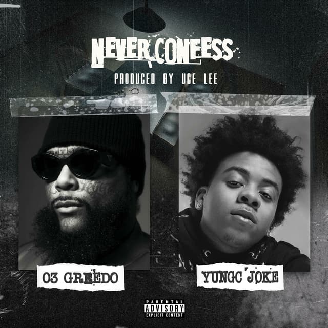 Never Confess cover