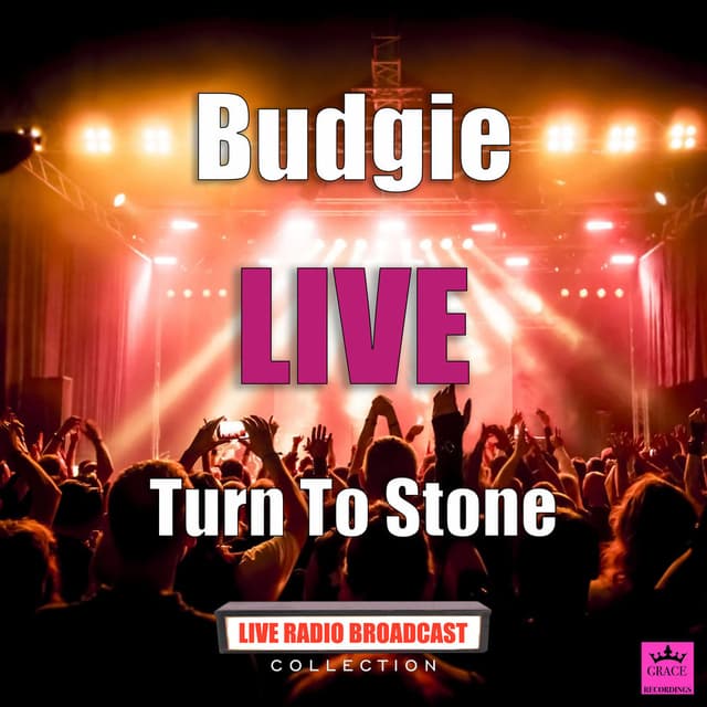 Turn To Stone (Live) cover