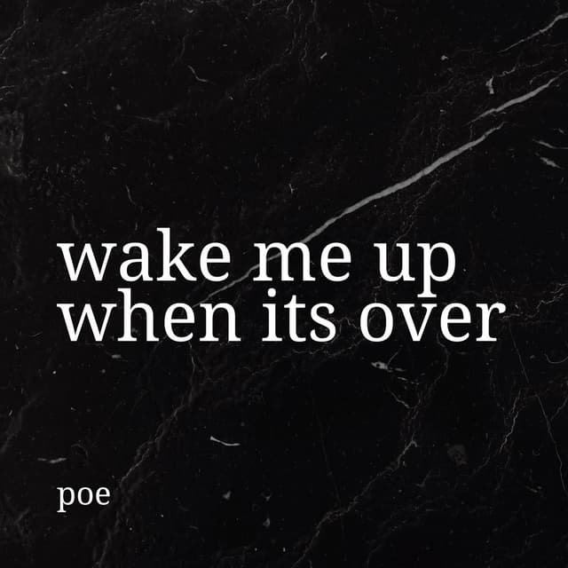 Wake Me Up When It's Over cover