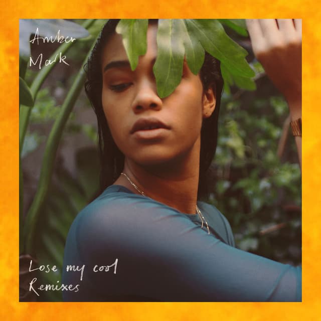 Lose My Cool (Remixes) cover