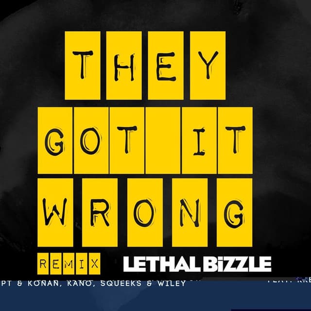 They Got It Wrong cover
