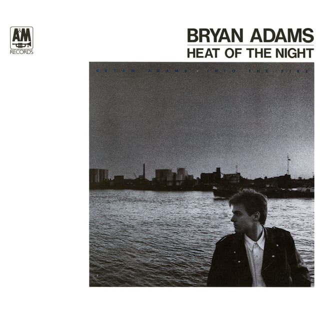 Heat Of The Night cover