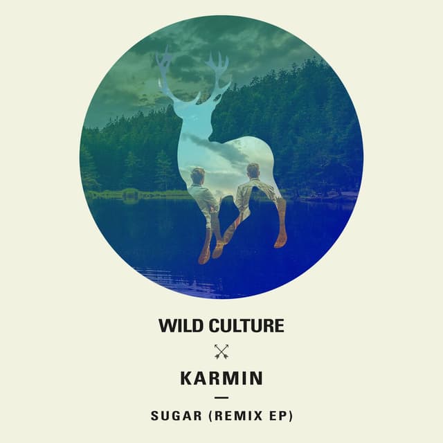 Sugar (Remixes) cover