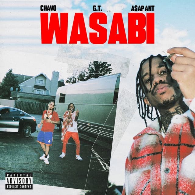Wasabi cover