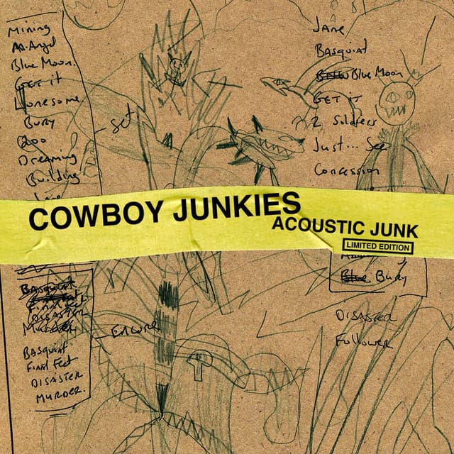 Acoustic Junk (Limited Edition) cover