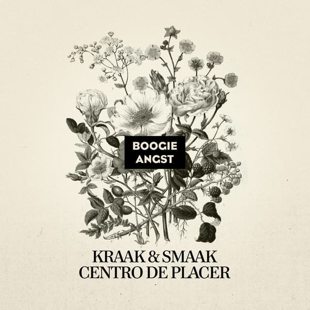 Centro de Placer cover