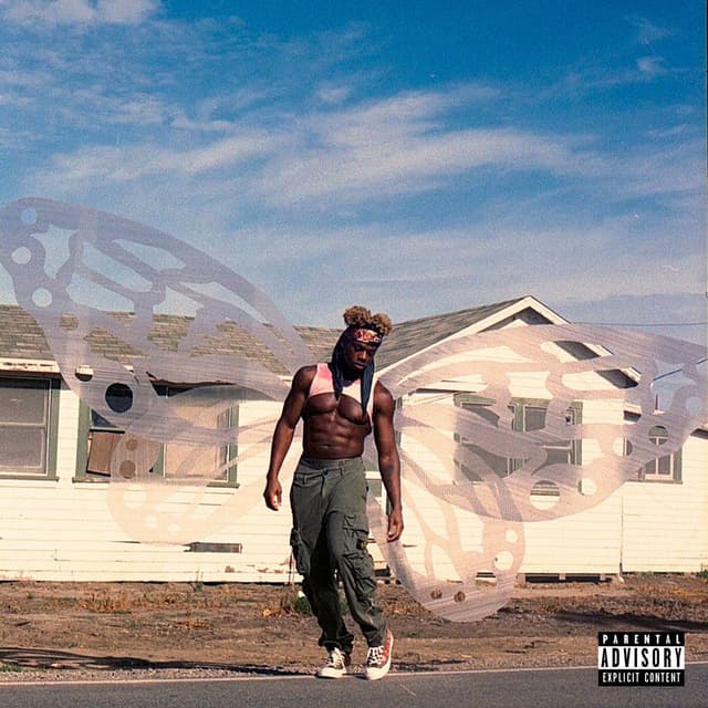 LINGO STARR cover