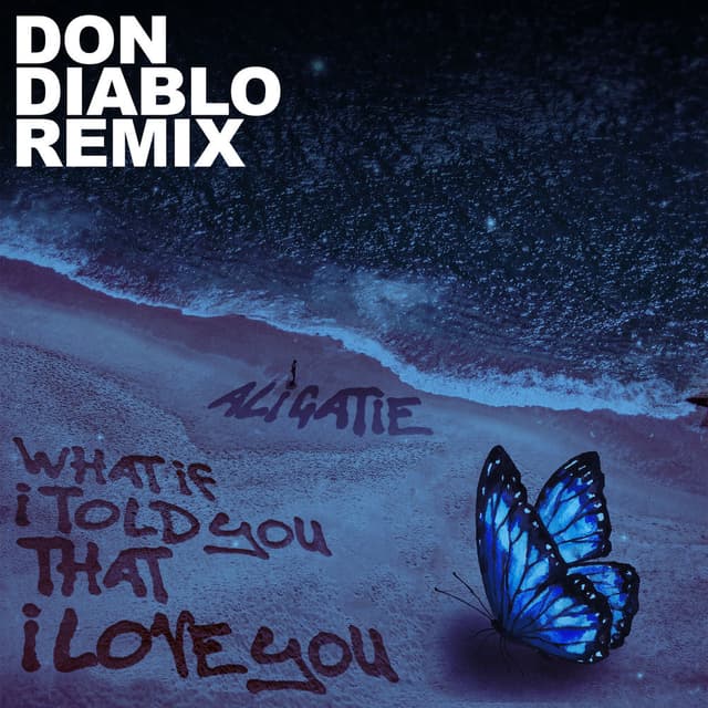 What If I Told You That I Love You (Don Diablo Remix) cover