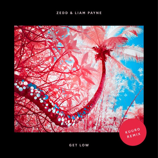 Get Low (KUURO Remix) cover