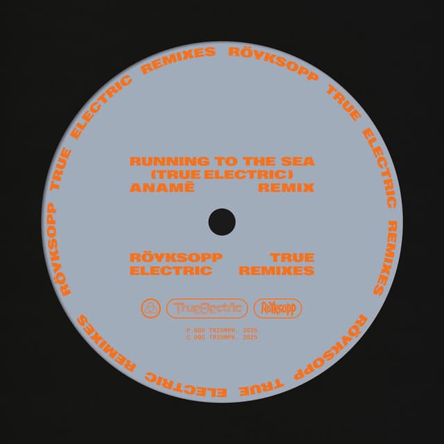 Running To The Sea (anamē Remix) album cover