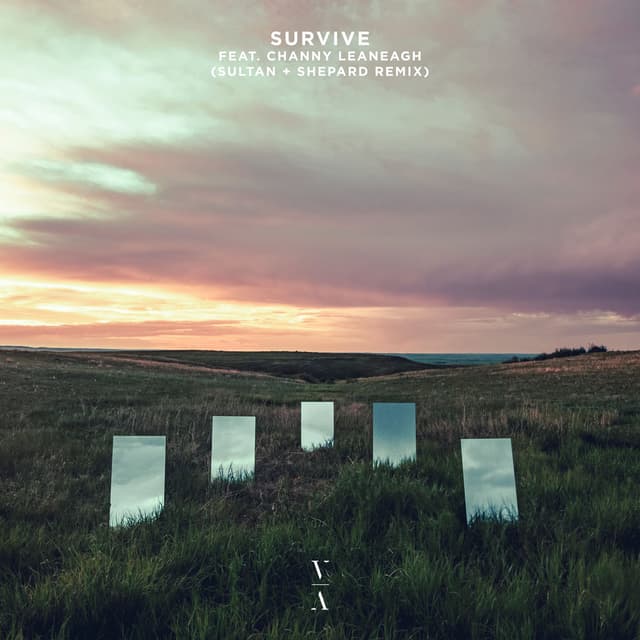 Survive (Sultan + Shepard Remix) cover