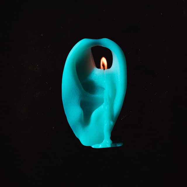 Earwax cover